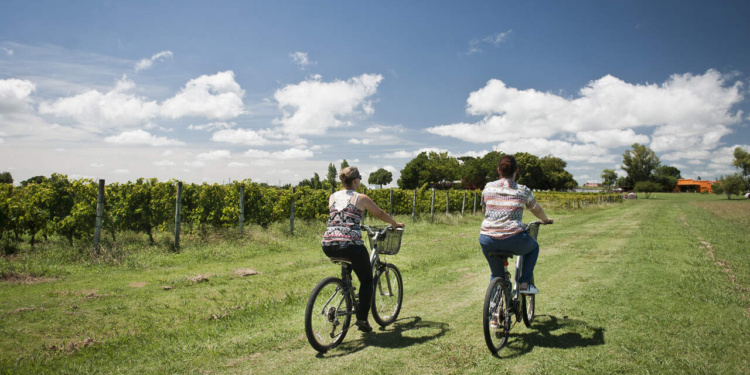 enoturismo no Uruguai
