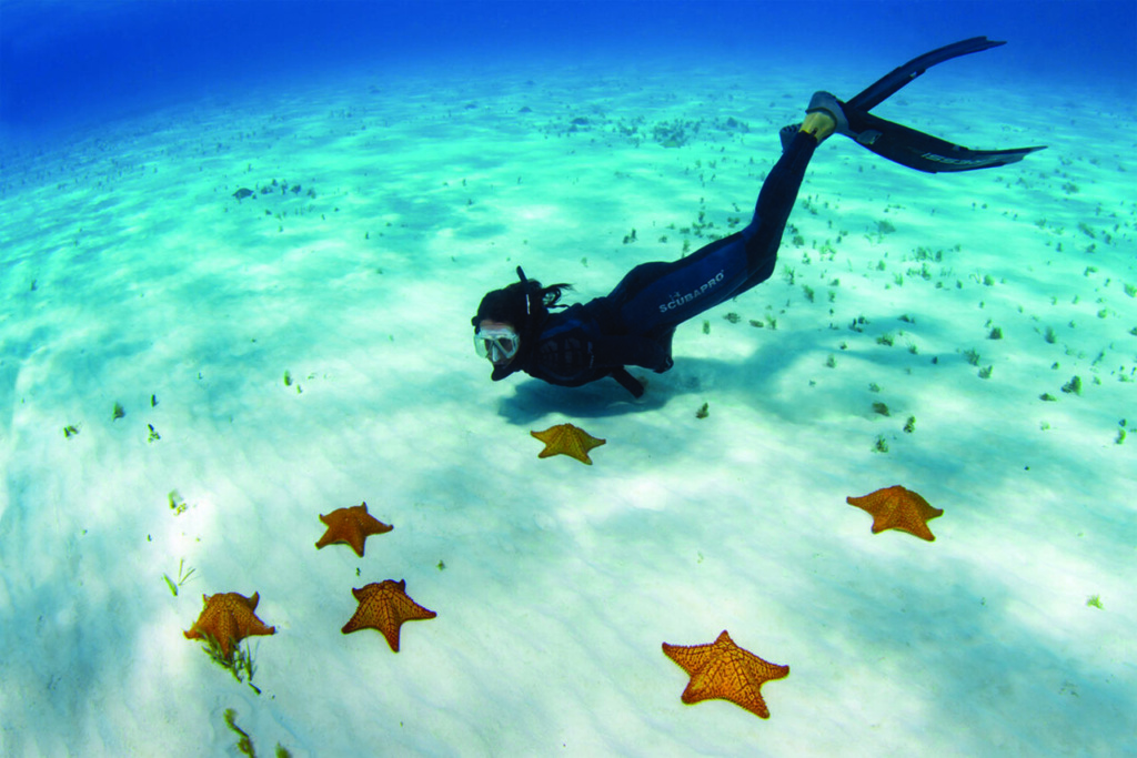 COZUMEL
