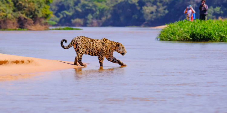 melhor época para visitar o Pantanal