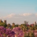 San Miguel de Allende