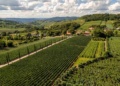 Vale dos Vinhedos - Serra Gaúcha