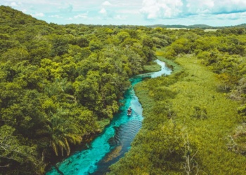 Bonito - BarradoSucuri