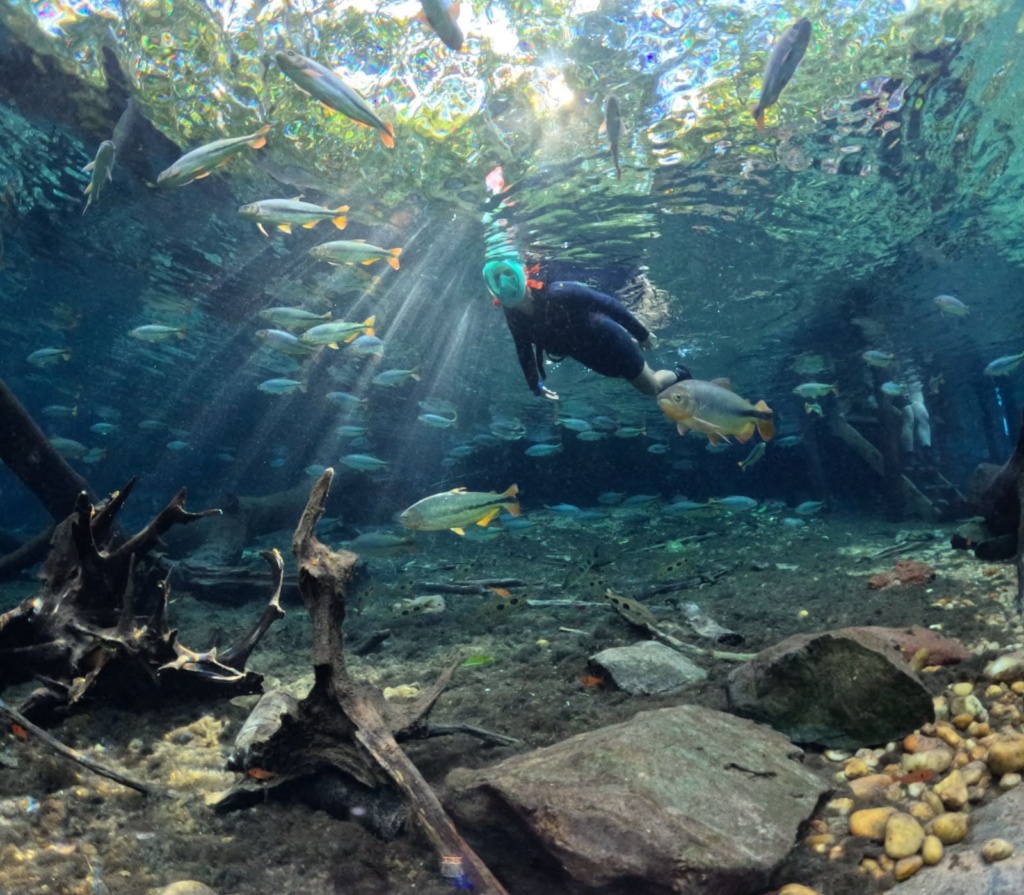 Bonito - Rio da Prata
