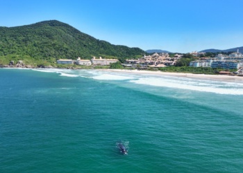 Costao do Santinho Resort comemora 35 anos