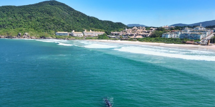 Costao do Santinho Resort comemora 35 anos