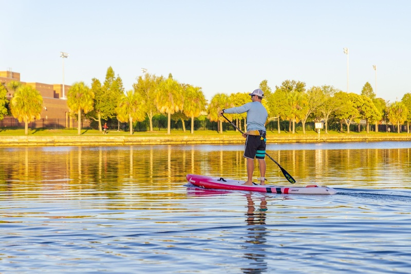 Tampa Bay oferece diversões aquáticas neste verão com parques, esportes e ecoturismo na Flórida.