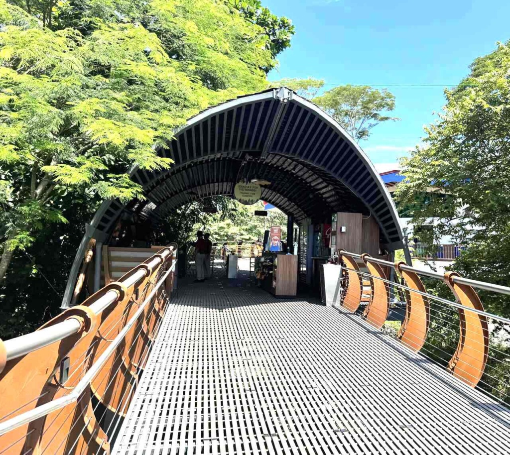 The Croc Skywalk