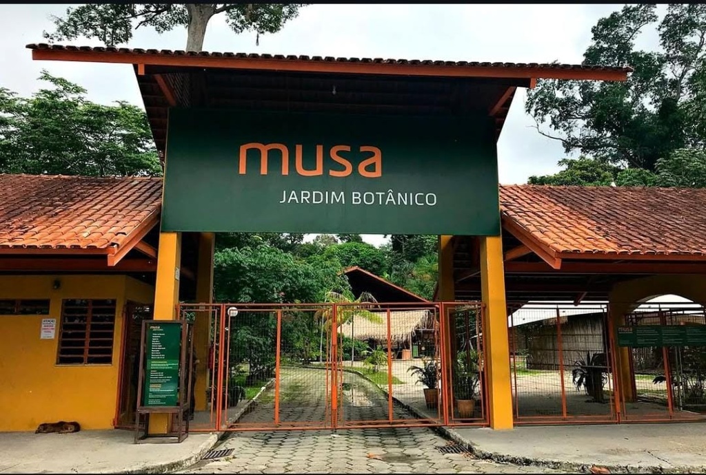 o que conhecer em Manaus - MUSA
