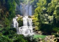 Nauyaca - Costa Rica
