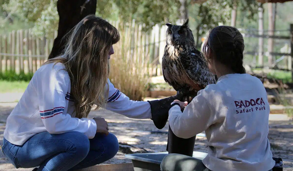 Falcoaria no Alentejo
