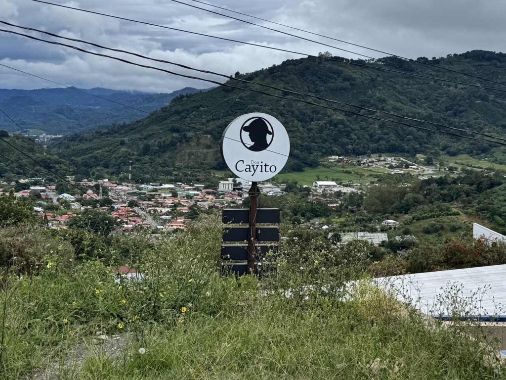 café - costa rica