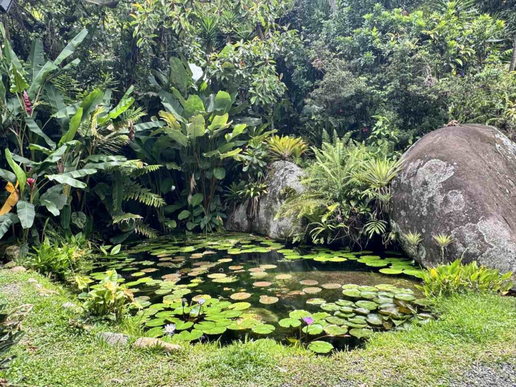 Jardines Secretos Restaurante - Gastronomia Costa Rica