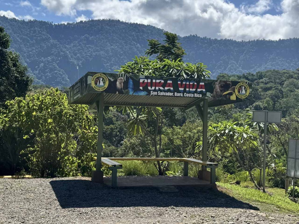 Pura Vida