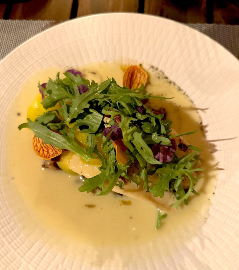 truta salmon - gastronomia costa rica